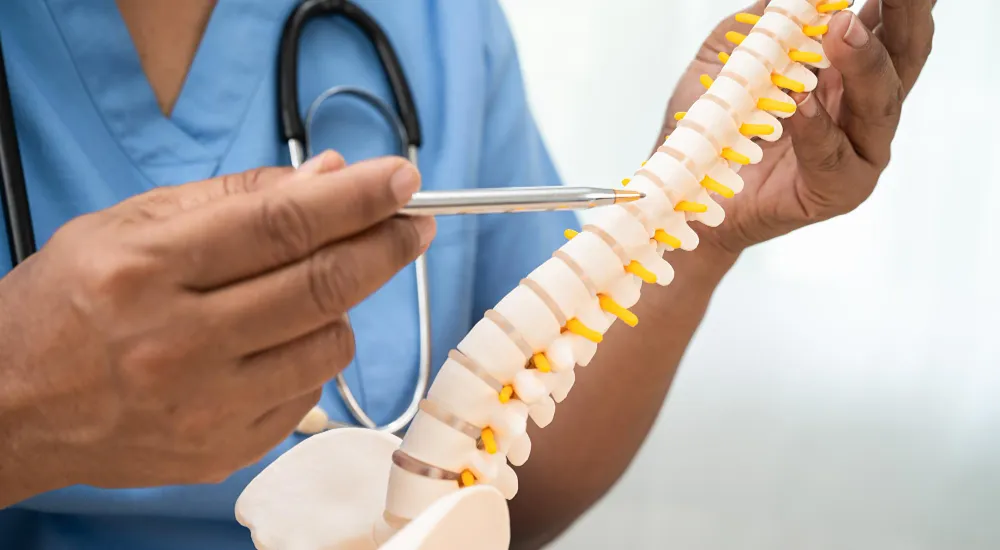 spine health and treatment approach